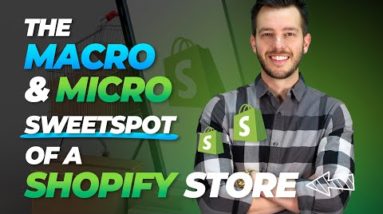 The Macro & Micro 'Sweetspot' of a Shopify Store